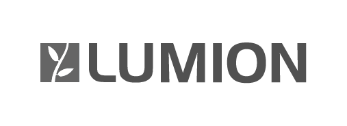 Lumion